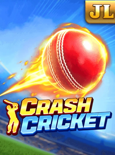 IPL cricket betting cover at 33bww